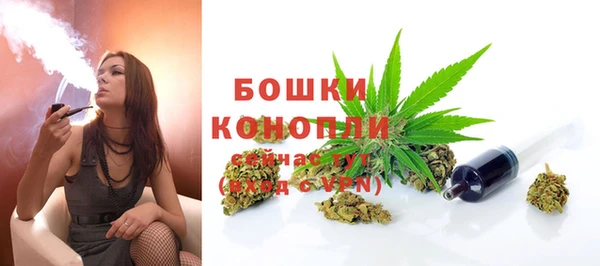 ГАЛЛЮЦИНОГЕННЫЕ ГРИБЫ Богородск