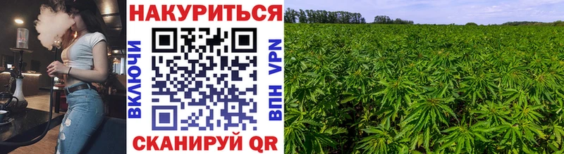 как найти Городище Бошки марихуана Bruce Banner